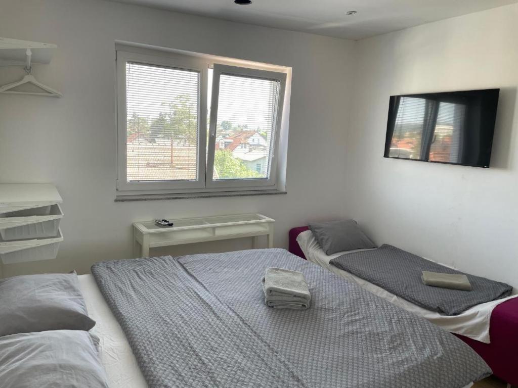 R41 - Tivoli Groundfloor Apartment Ljubljana Eksteriør billede