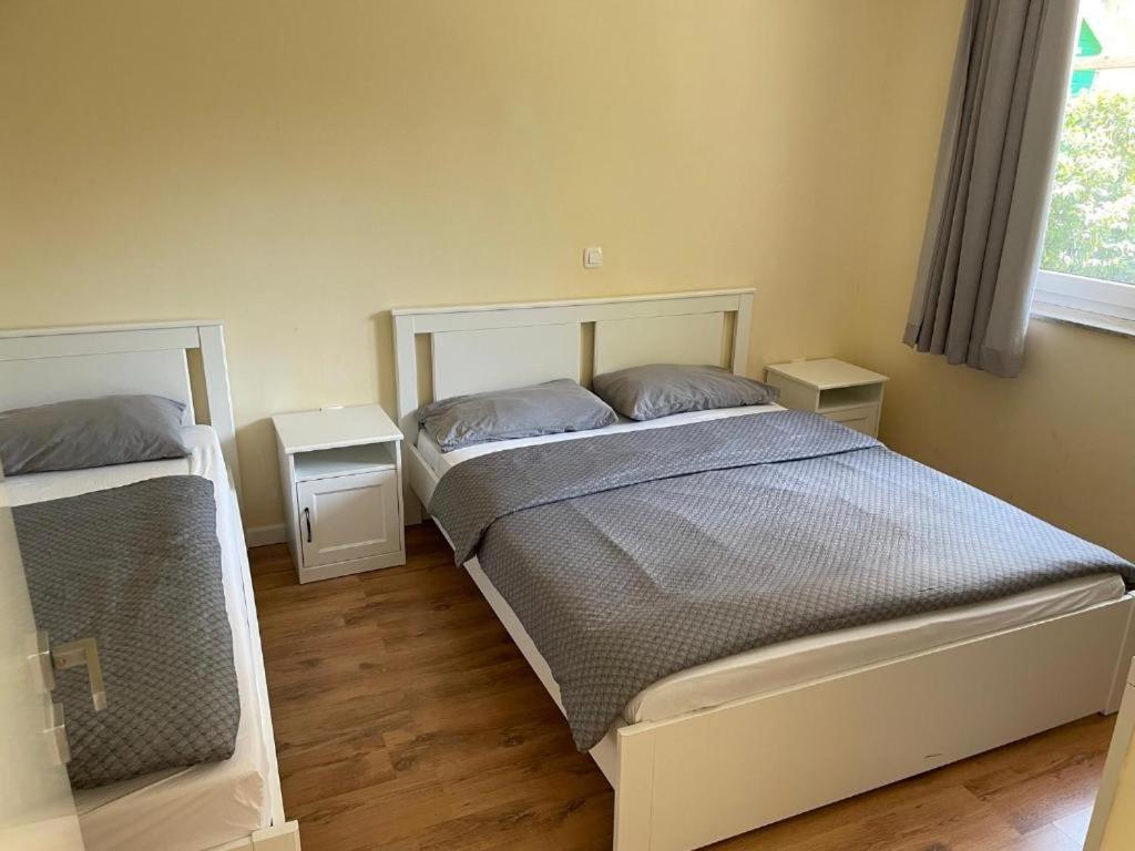 R41 - Tivoli Groundfloor Apartment Ljubljana Eksteriør billede